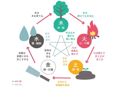 土剋金|五行思想